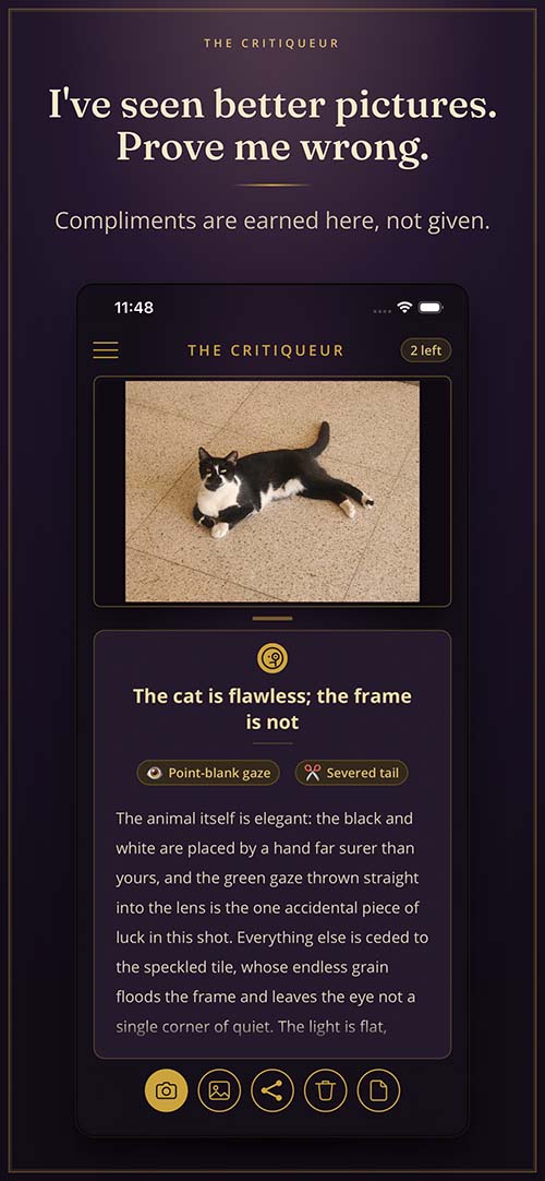 A submitted photo with the critic's verdict, earned badges, and a structured critique