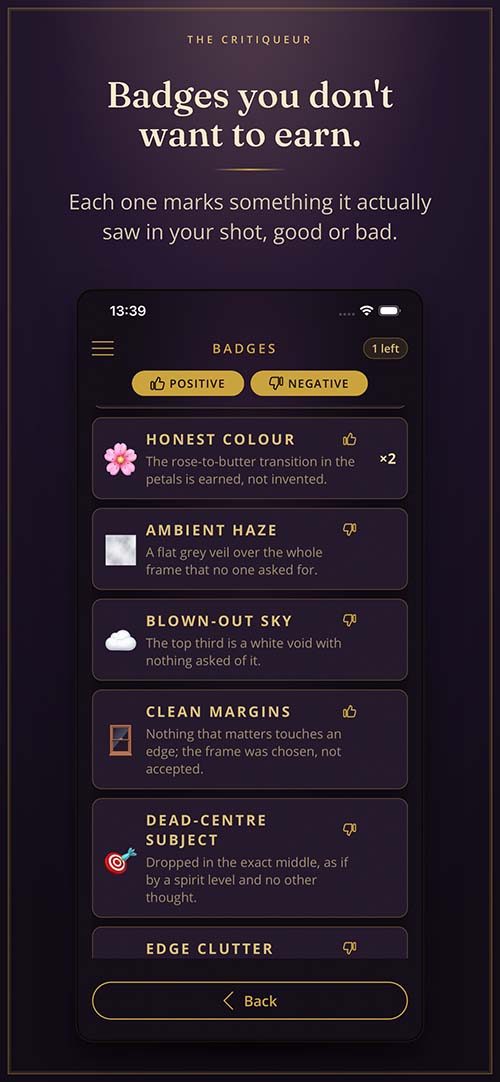 The badge list showing positive and negative awards